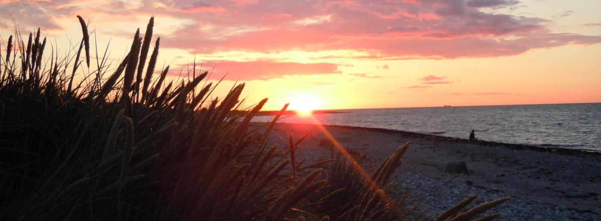 Ostsee Huus Burg auf Fehmarn Ngoại thất bức ảnh